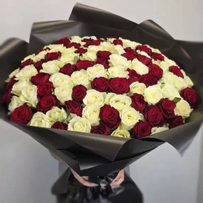 101 красно белая роза
